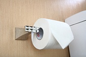PAN-86060 Держатель для туалетной бумаги